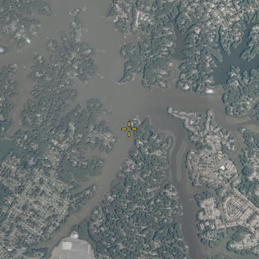Aerial/Satellite Image of Pinetree Branch, VA