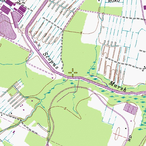 Topographic Map of Scopus Marsh, VA