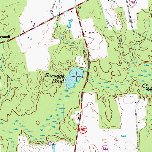 Topographic Map of Scruggs Pond, VA