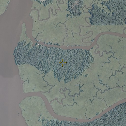 Aerial/Satellite Image of Wright Island, VA