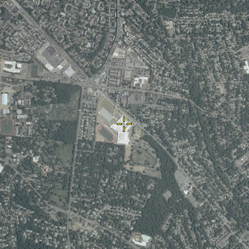 Aerial/Satellite Image of T C Williams High School, VA