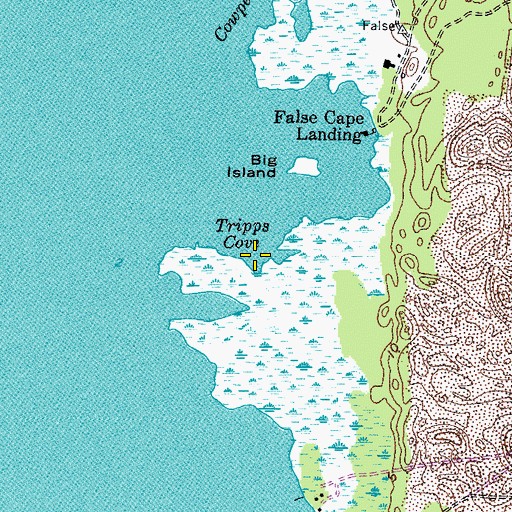 Topographic Map of Tripps Cove, VA