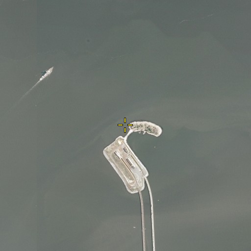 Aerial/Satellite Image of Fort Wool Light, VA