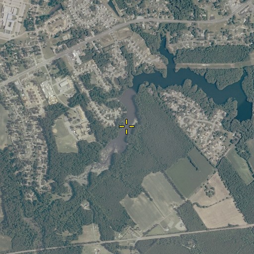 Aerial/Satellite Image of Speights Run, VA