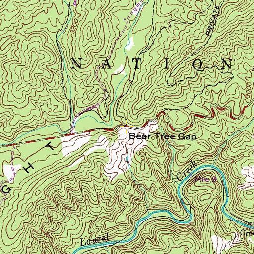 Topographic Map of Bear Tree Gap, VA
