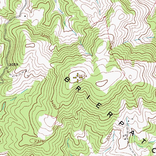 Topographic Map of Brierpatch Mountain, VA
