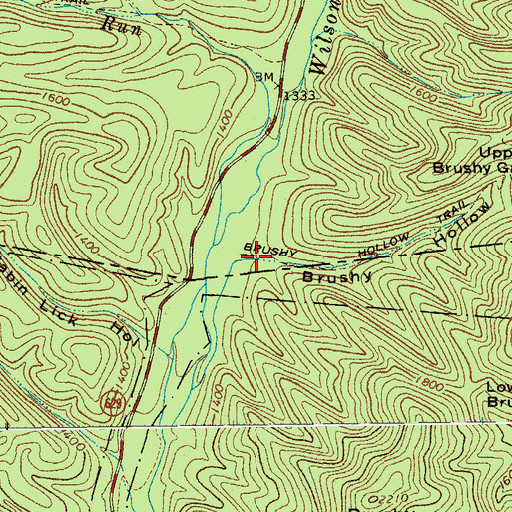 Topographic Map of Brushy Hollow, VA