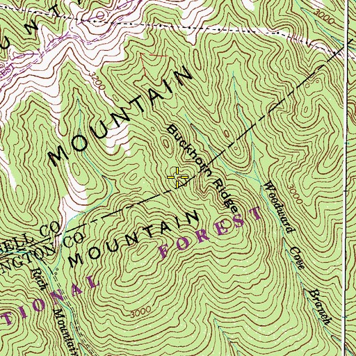 Topographic Map of Buckhorn Ridge, VA