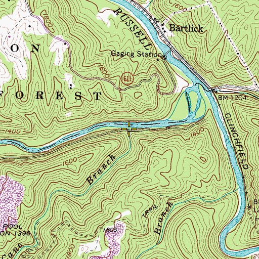 Topographic Map of Cane Branch, VA