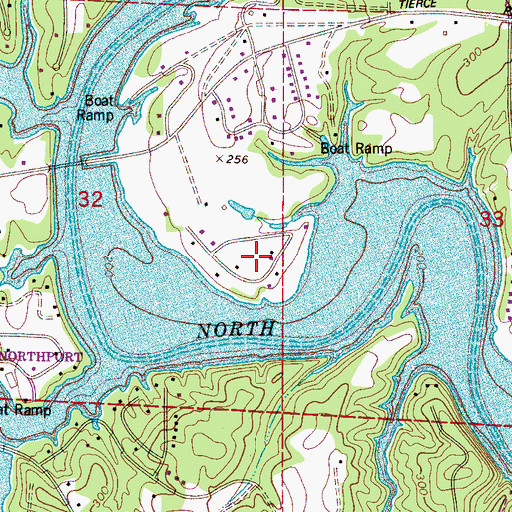 Topographic Map of Lakeview Manor, AL
