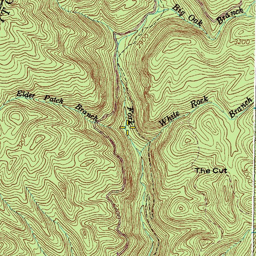 Topographic Map of Elder Patch Branch, VA