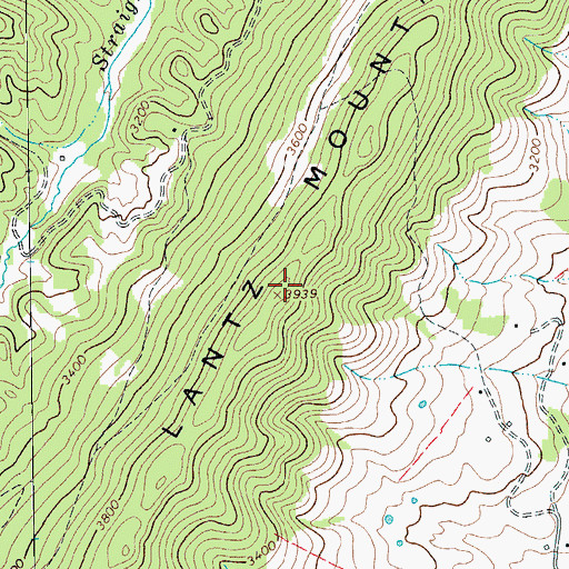Topographic Map of Lantz Mountain, VA