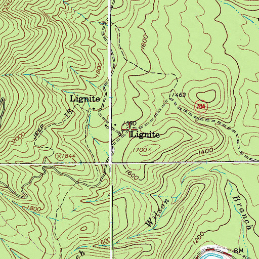 Topographic Map of Lignite, VA