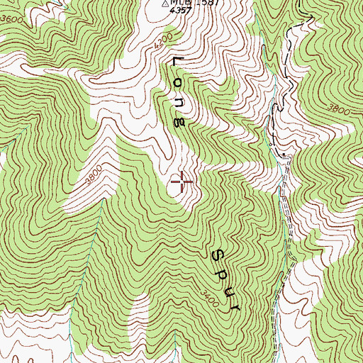 Topographic Map of Long Spur, VA