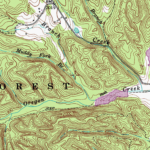 Topographic Map of Muddy Fork Branch, VA