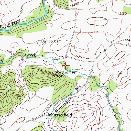 Topographic Map of Murrayfield Branch, VA