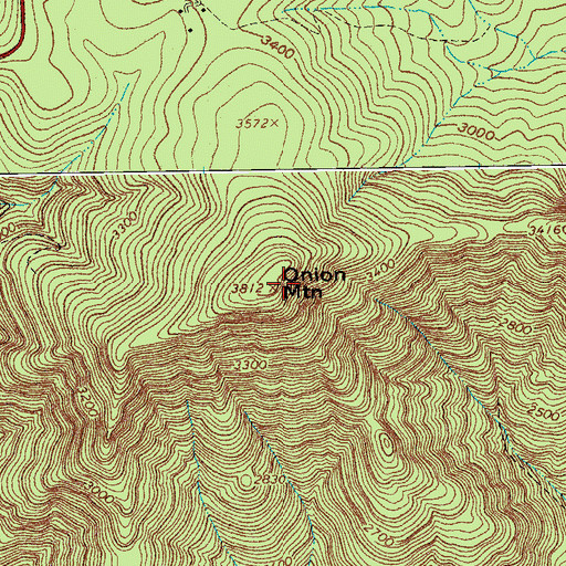 Topographic Map of Onion Mountain, VA