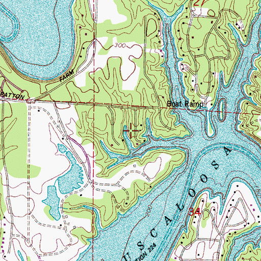 Topographic Map of Stonehedge, AL