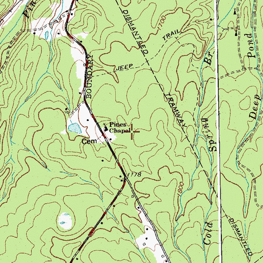 Topographic Map of Pines Chapel, VA