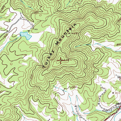 Topographic Map of Turkey Mountain, VA