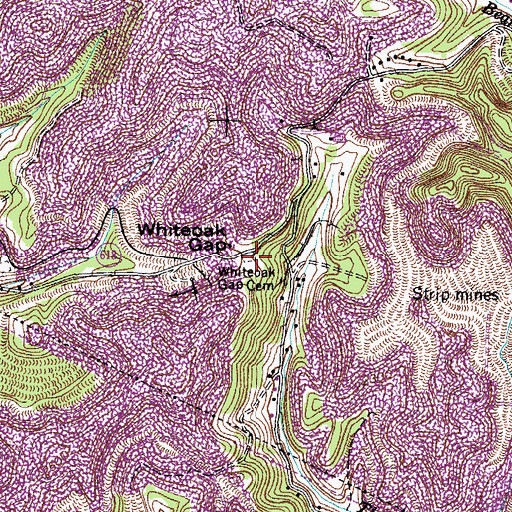 Topographic Map of Whiteoak Gap Cemetery, VA