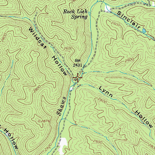 Topographic Map of Wildcat Hollow, VA