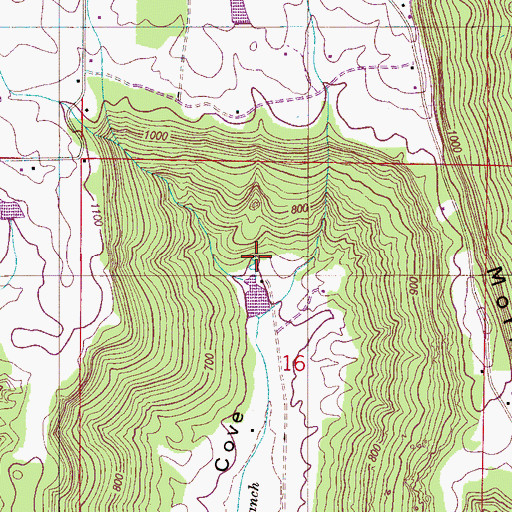 Topographic Map of Cove Spring Number 1, AL