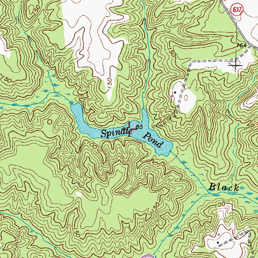 Topographic Map of Spindle Pond, VA