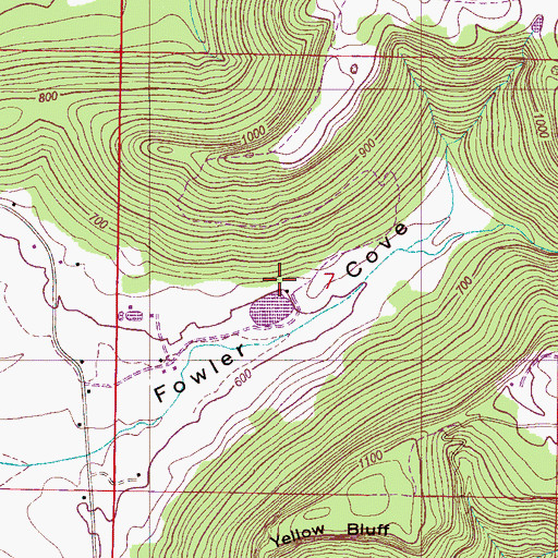 Topographic Map of Fowler Spring, AL