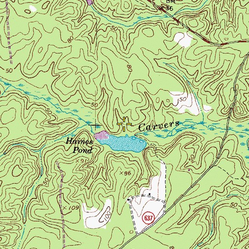 Topographic Map of Haines Pond Dam, VA