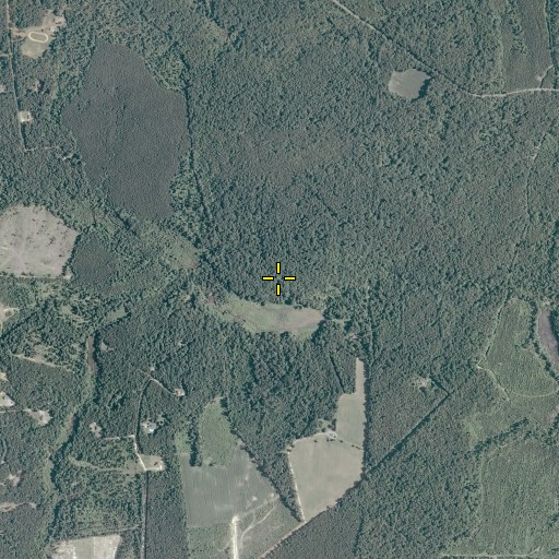 Aerial/Satellite Image of Haines Pond Dam, VA
