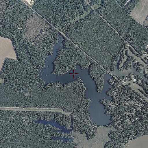 Aerial/Satellite Image of Olssons Pond, VA