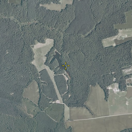 Aerial/Satellite Image of Marsh Dam, VA