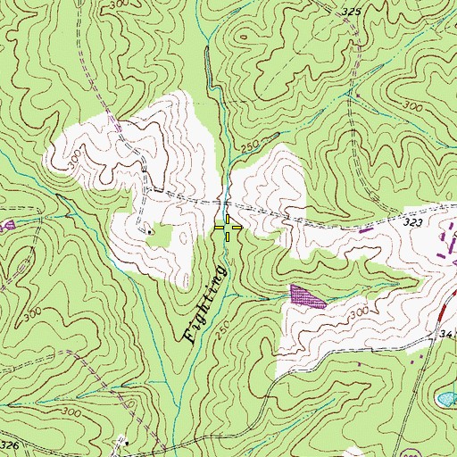 Topographic Map of Randolph Lake, VA