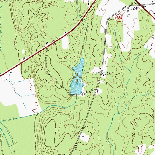 Topographic Map of Renney Pond, VA