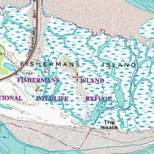 Topographic Map of Fishermans Island, VA