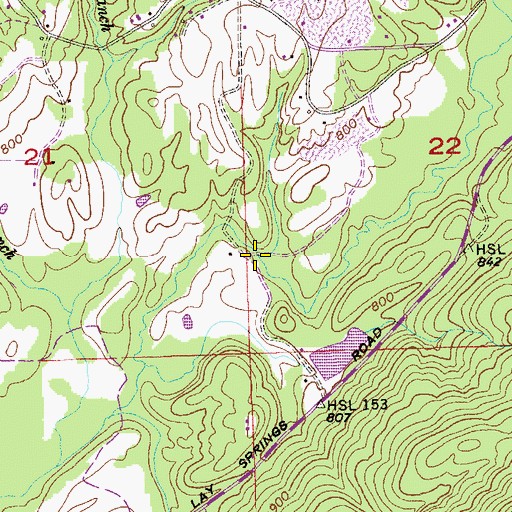 Topographic Map of Spring Branch, AL