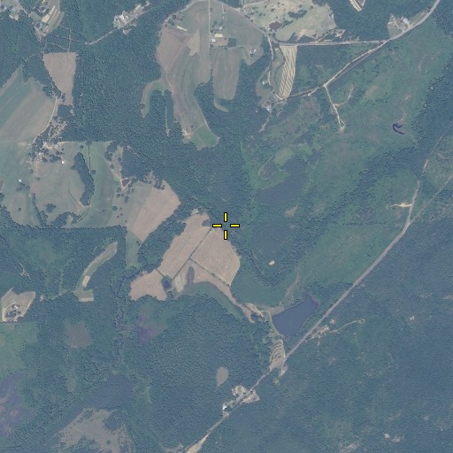 Aerial/Satellite Image of Spring Branch, AL