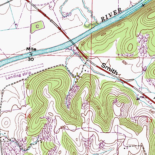 Topographic Map of Beasley Spring, AL