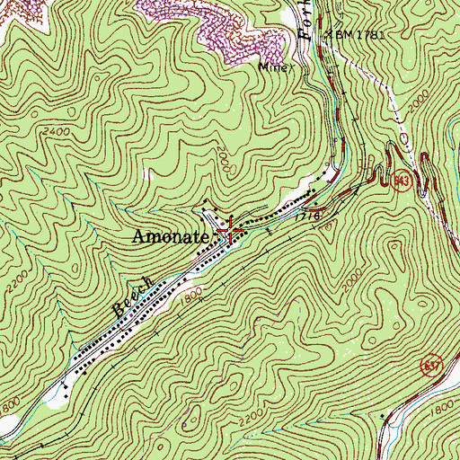 Topographic Map of Amonate, VA