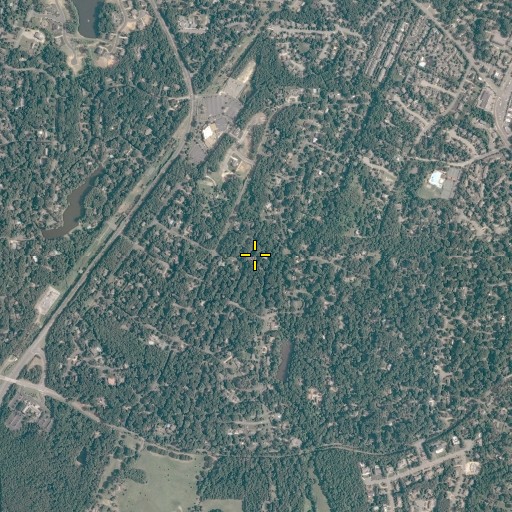 Aerial/Satellite Image of Roslyn Hills, VA