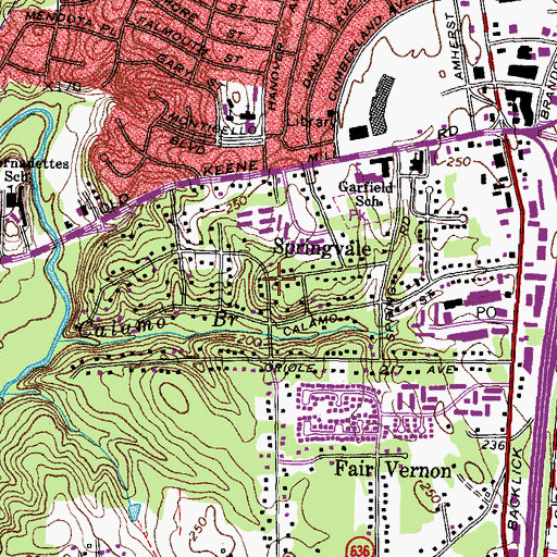 Topographic Map of Springvale, VA