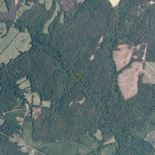 Aerial/Satellite Image of Simpsons Mill (historical), VA