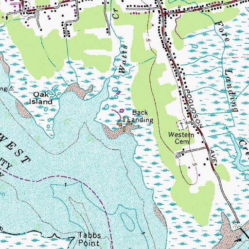 Topographic Map of Back Landing, VA