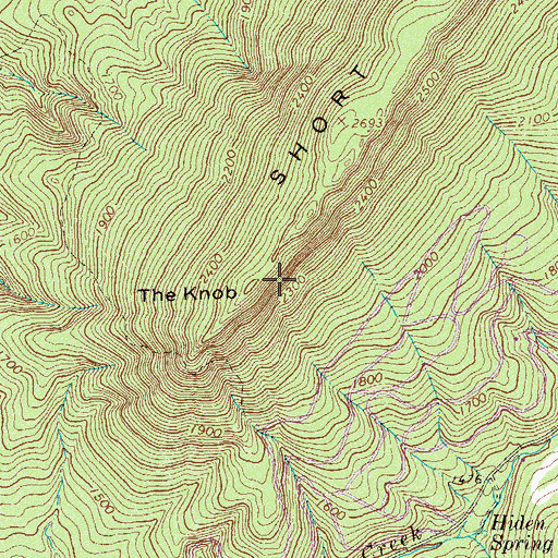 Topographic Map of The Knob, VA