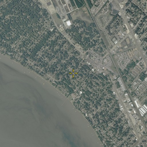 Aerial/Satellite Image of Hilton Village, VA