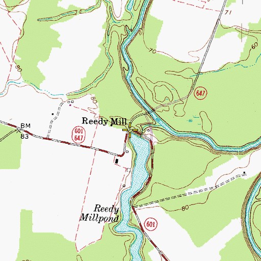 Topographic Map of Reedy Mill, VA