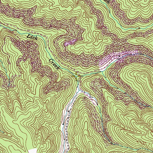 Topographic Map of Low Gap Branch, VA