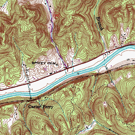 Topographic Map of Spivey Store, VA