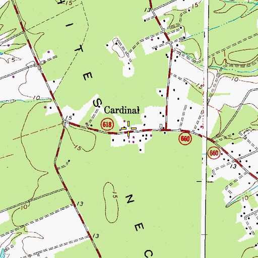 Topographic Map of Cardinal, VA